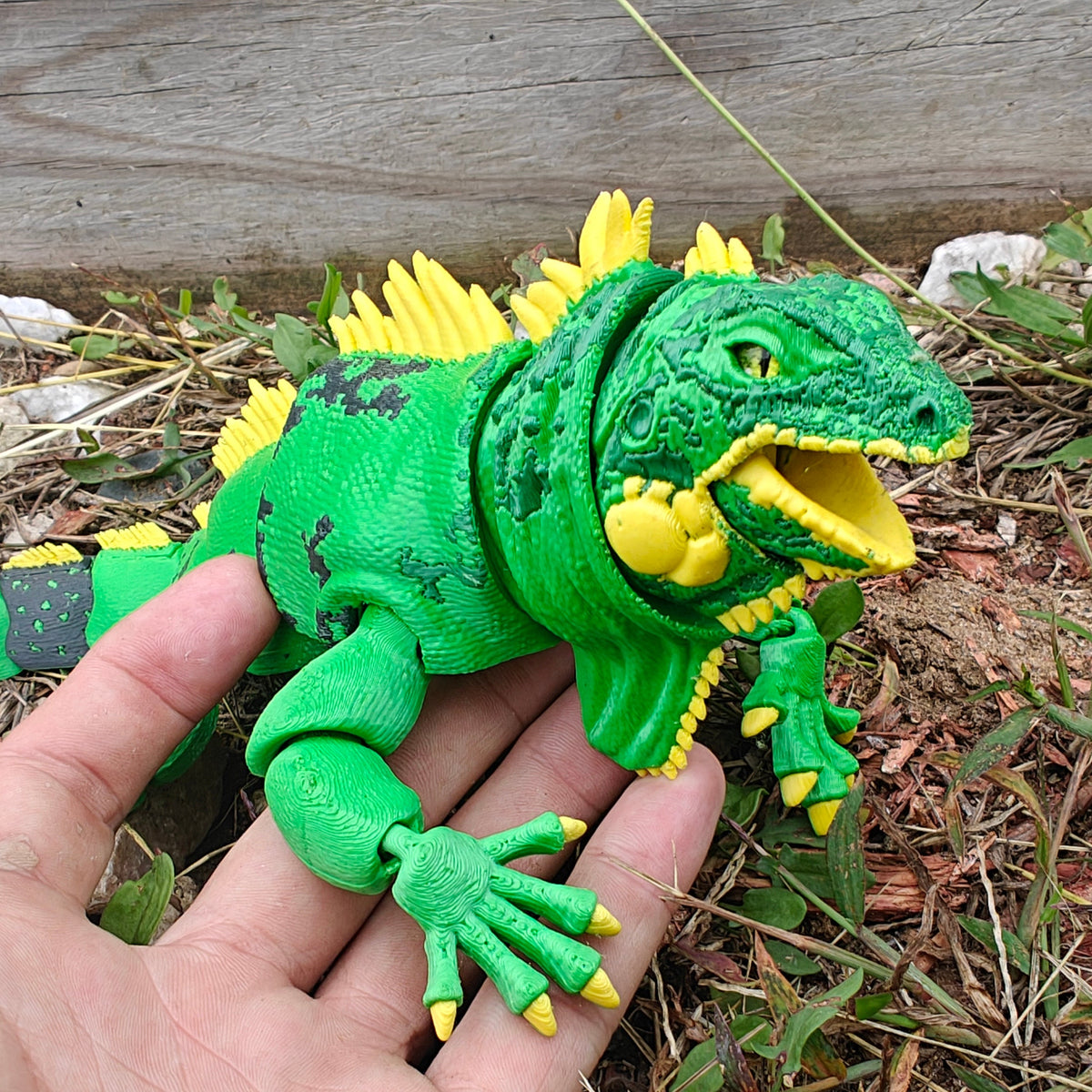 Iguana Flexi