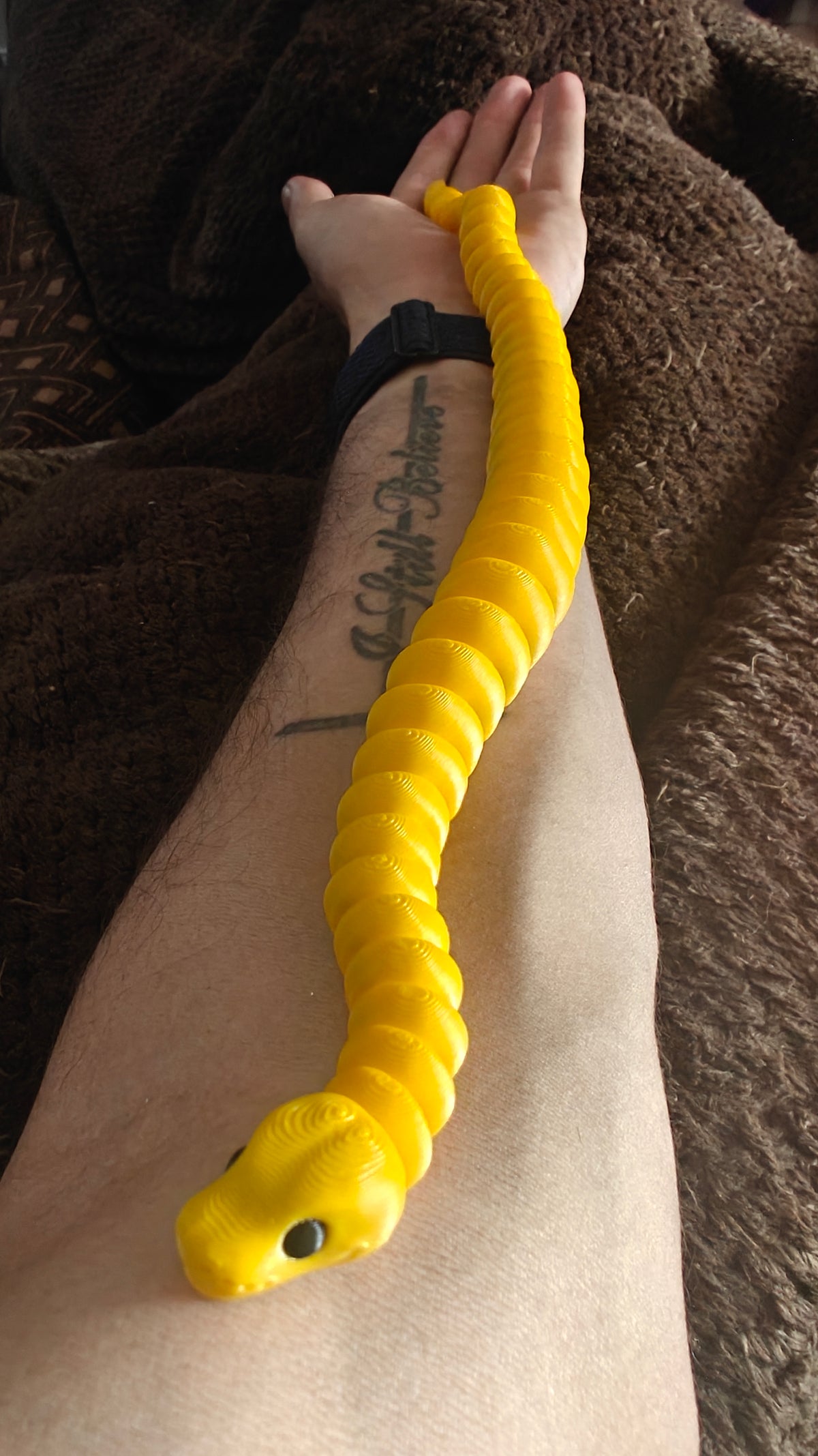 Ball Python Flexi