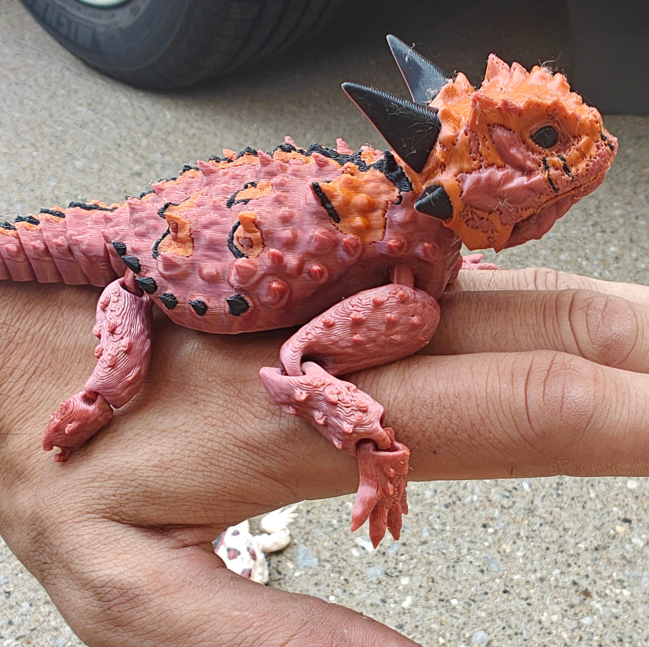 Texas Horned Lizard