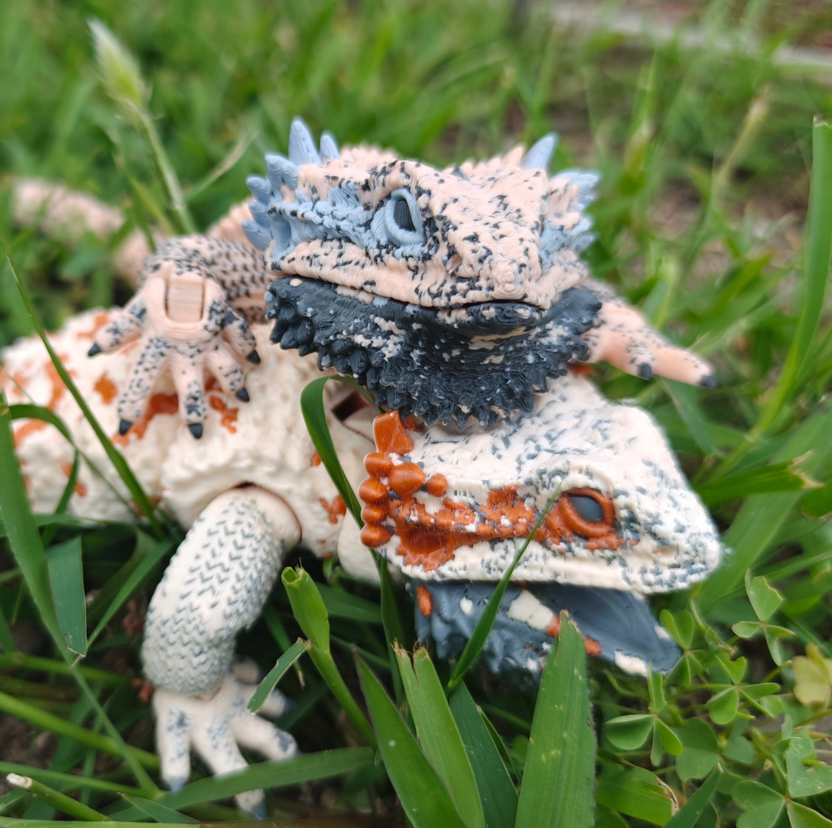 Bearded Dragon Flexi