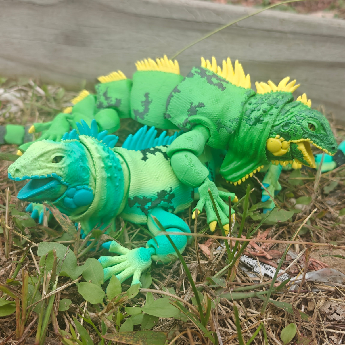 Iguana Flexi