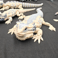 Bearded Dragon Flexi