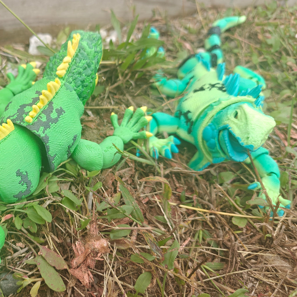 Iguana Flexi