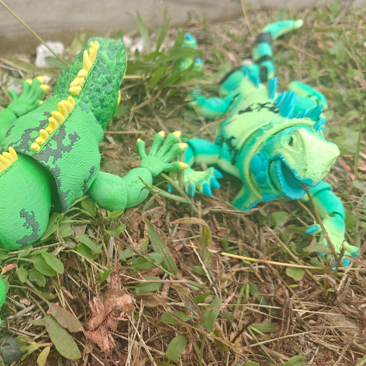 Iguana Flexi