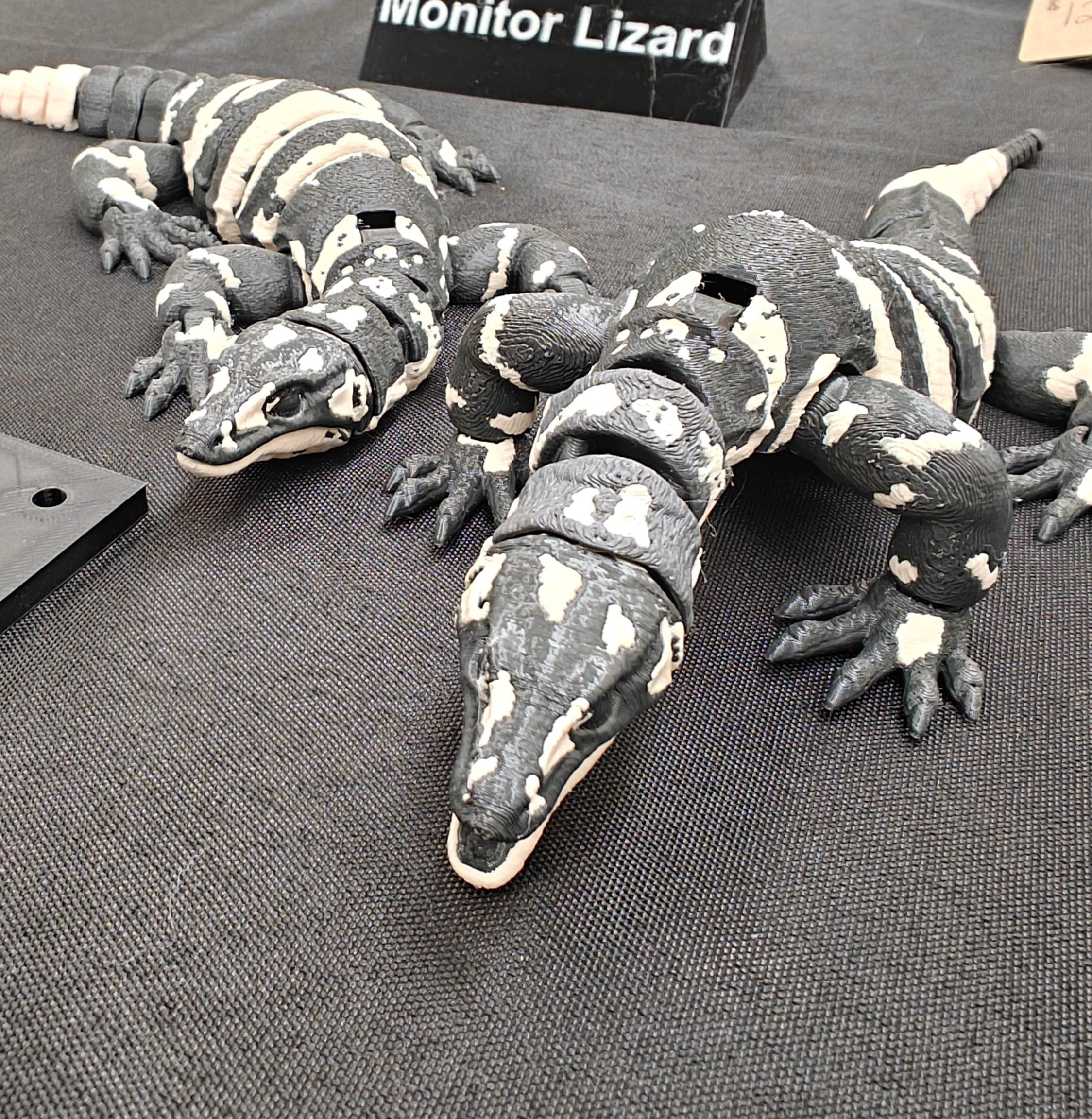 Monitor Lizard Flexi