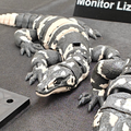 Monitor Lizard Flexi