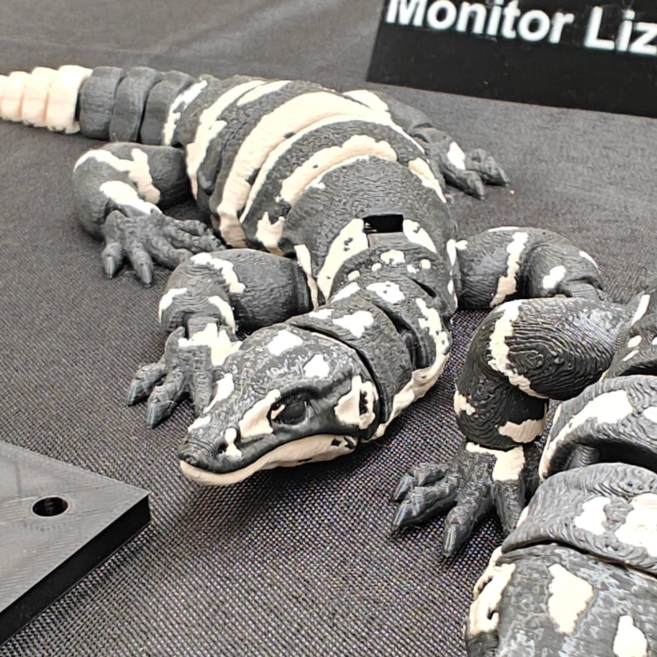 Monitor Lizard Flexi