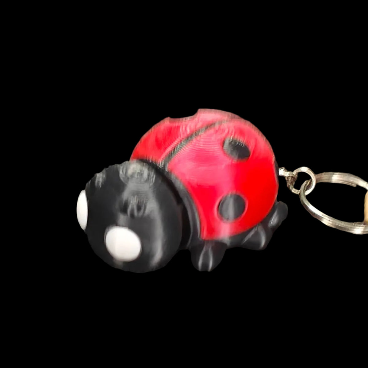 Flexi Keychain