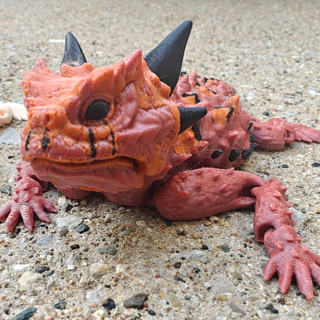 Texas Horned Lizard
