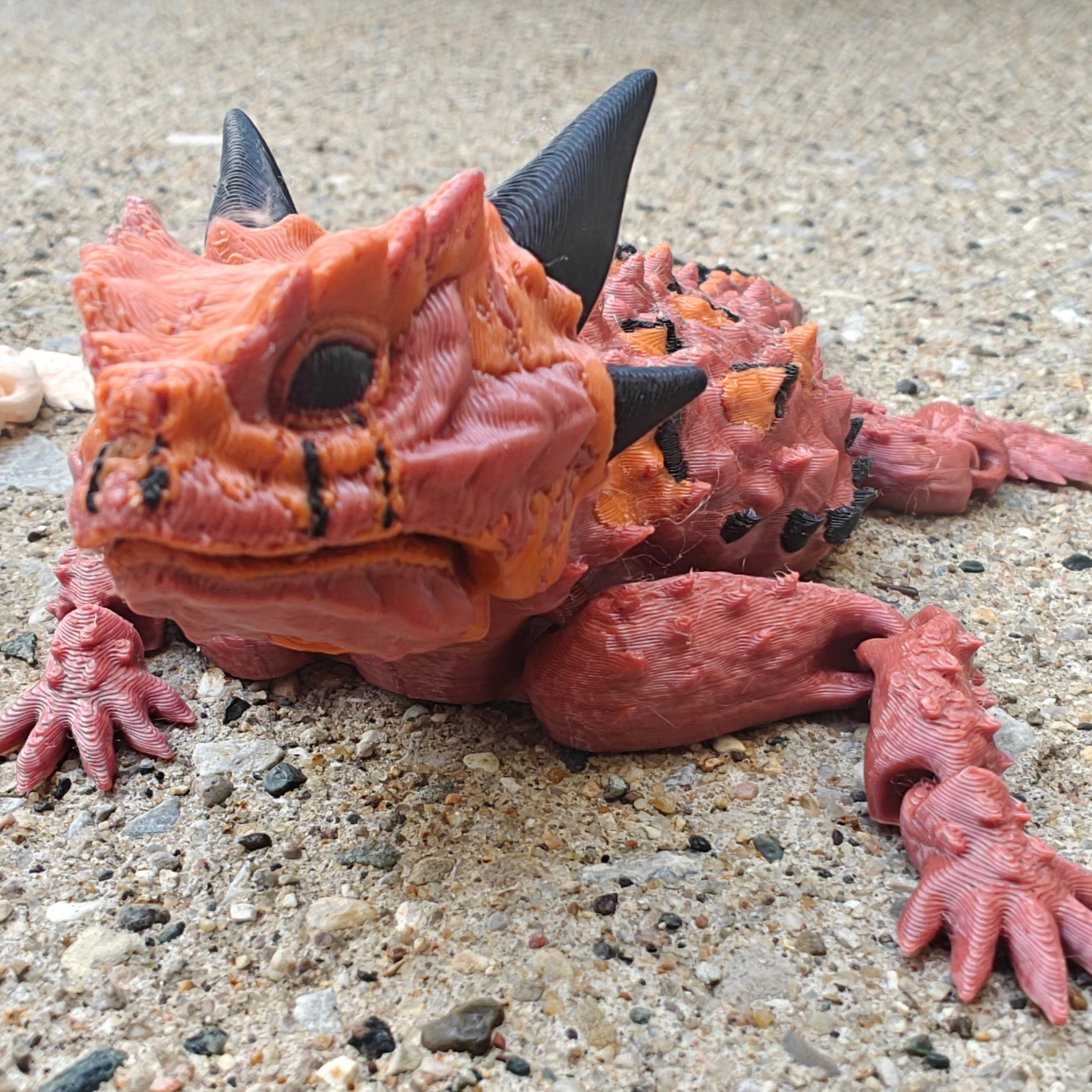 Texas Horned Lizard