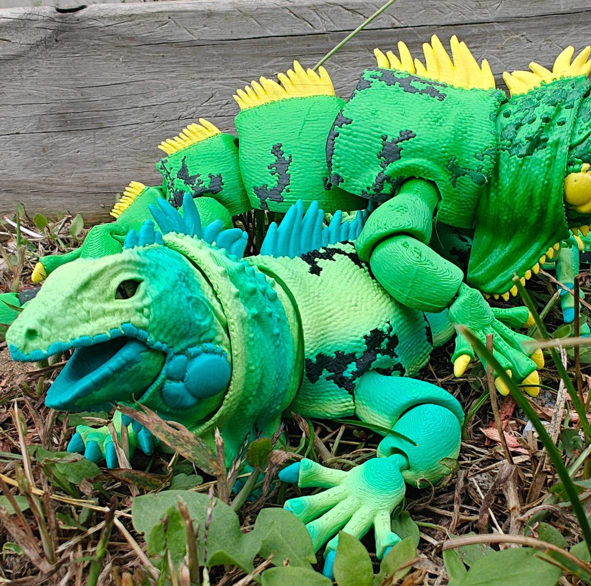Iguana Flexi