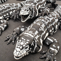 Tegu Lizard Flexi