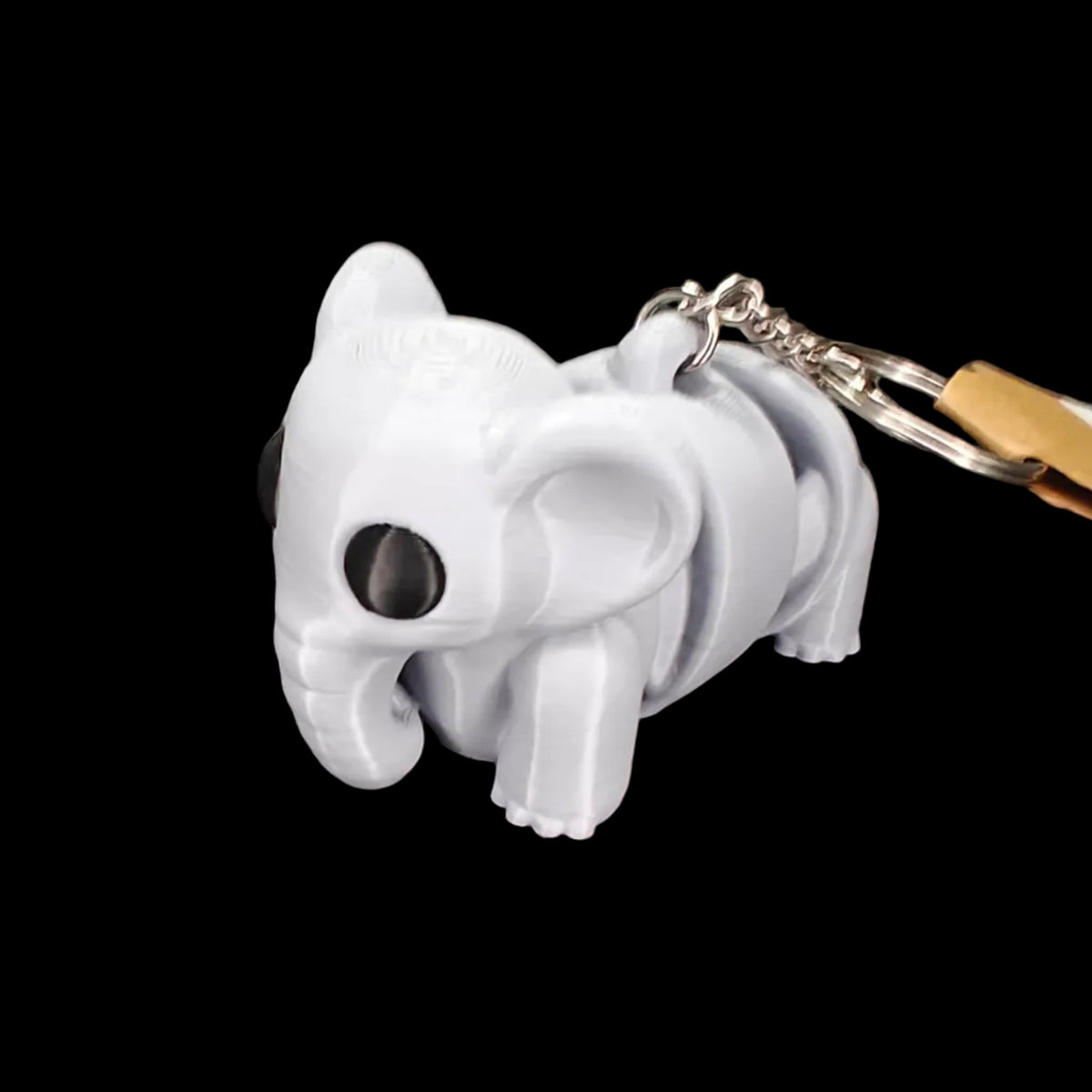 Flexi Keychain