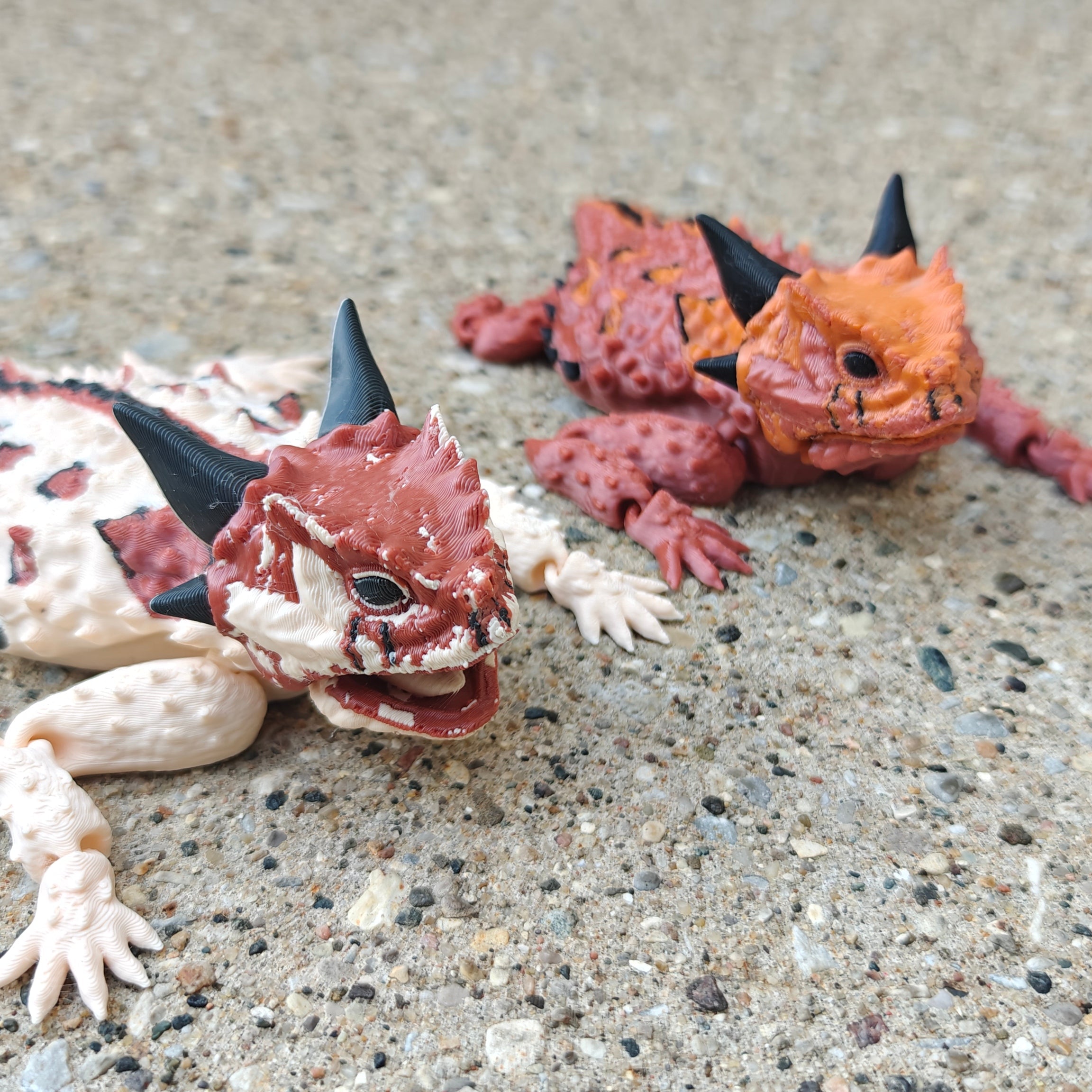 Texas Horned Lizard