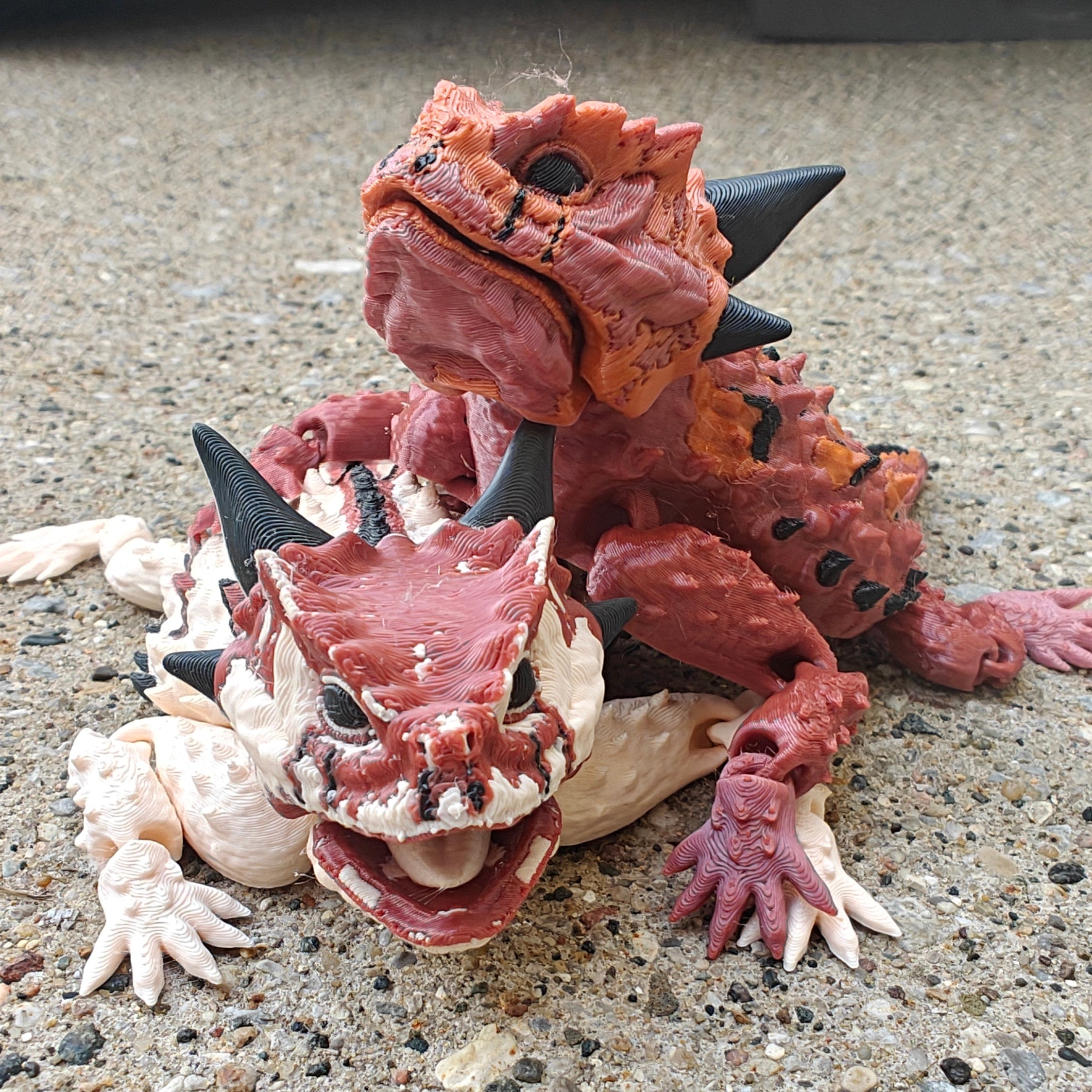 Texas Horned Lizard