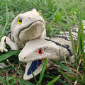 Blue Tongued Skink