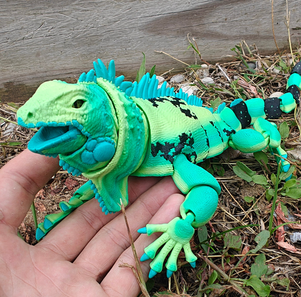 Iguana Flexi