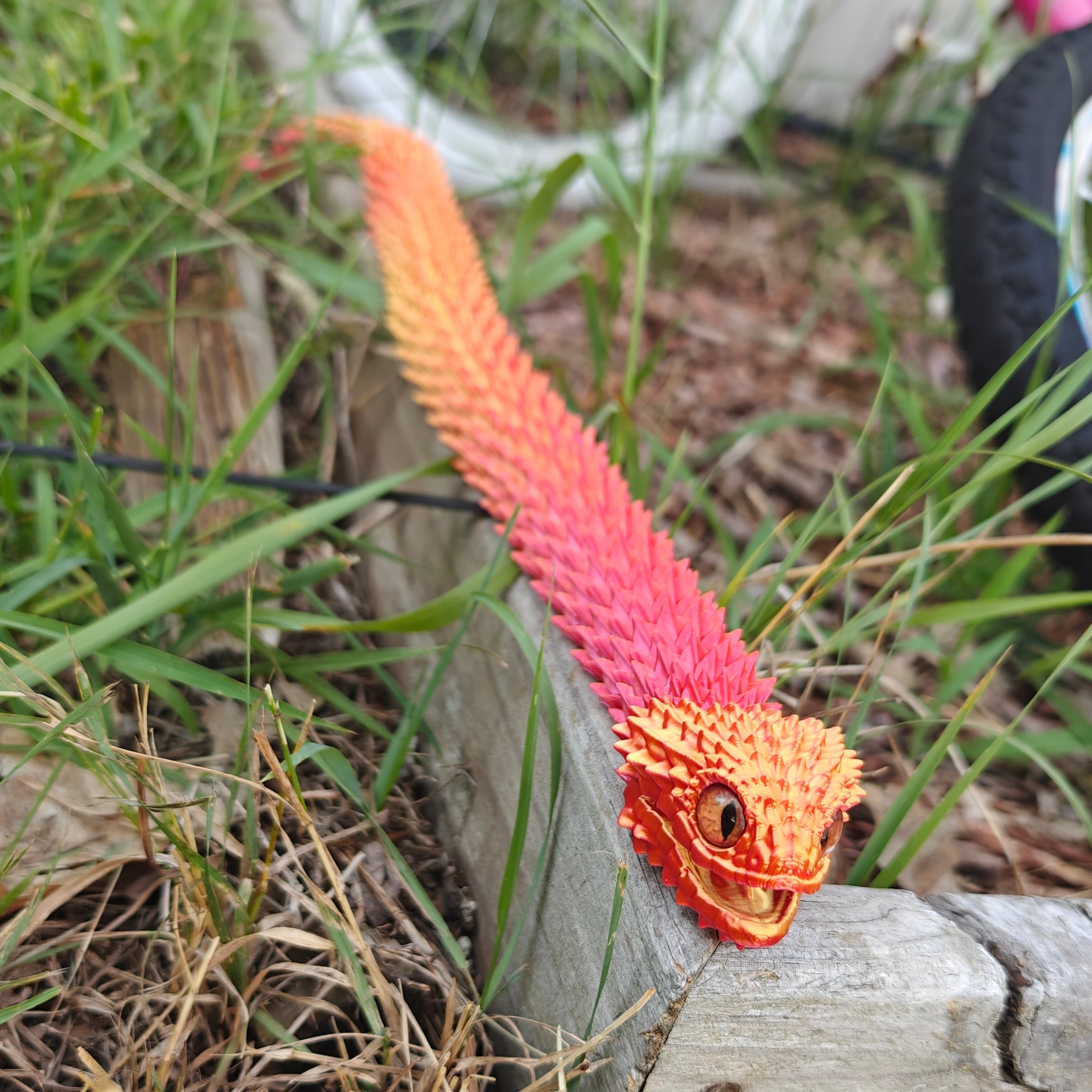 Bush Viper